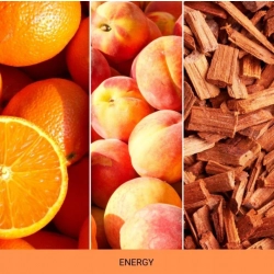 Mr & Mrs Fragrance Zapach do samochodu Cesare Energy 1szt.